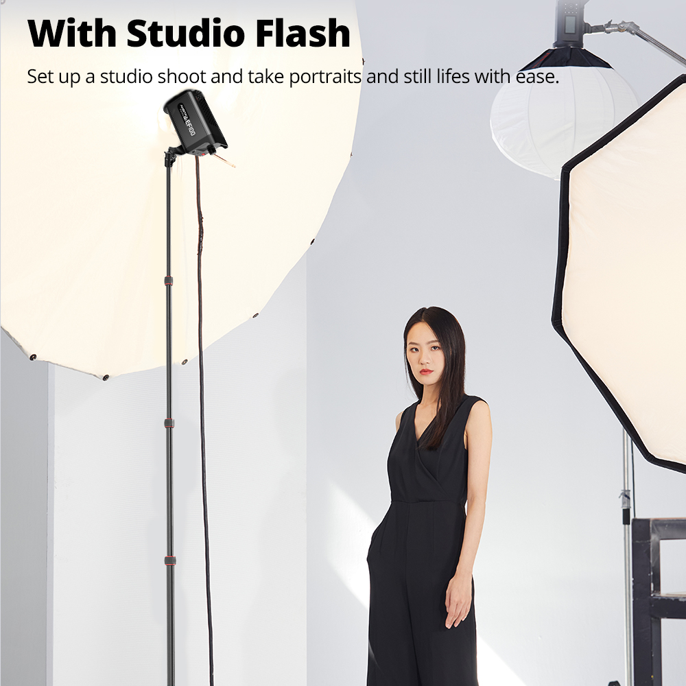 Ambitful GM220 Photographic Li - đánh giá và giá Photography Basics